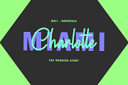 Rogueone Monoline Signature Font, a Script Font by Maulana Creative (Thumbnail 8 of 8)