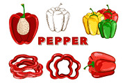 Vegetables in the Vintage Style, a Healthcare Illustration by Alfazet Chronicles (Thumbnail 6 of 15)