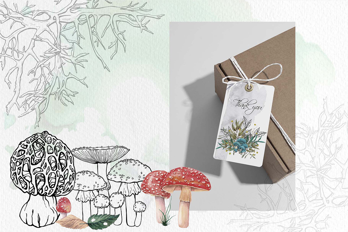 Mashrooms & Herbs Clipart, an Illustration by BalanceUA (Photo 10 of 10)
