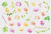 Watercolor Flowers - Peonies, a Graphic by TheSeventhDesire (Thumbnail 5 of 10)