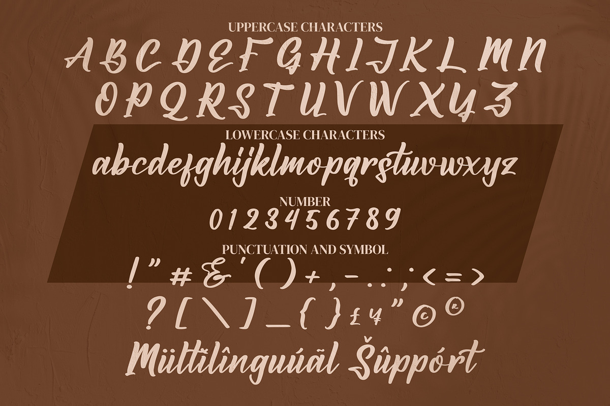 Amsaterdam Jungleria, a Script Font by Integritype Studio (Photo 8 of 10)