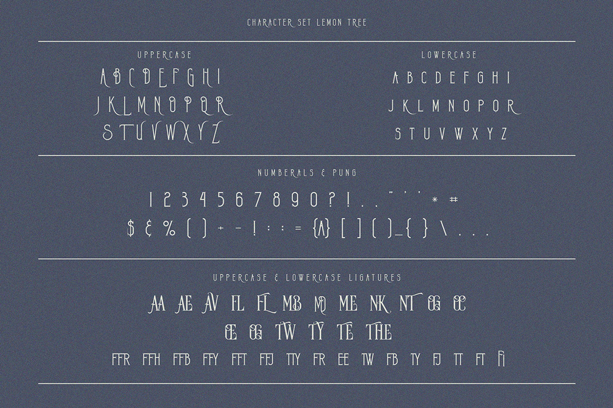 Lemon Tree Vintage Condensed Serif, a Serif Font by JumboDesign (Photo 4 of 6)
