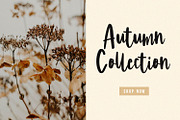 Passion - A Cute Handwritting Font, a Script Font by Graphicfresh (Thumbnail 3 of 8)