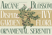 Eastrave, a Serif Font by din-studio.com (Thumbnail 5 of 11)
