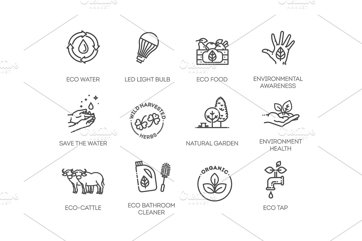 Ecological Succession Icons Pack, an Object Illustration by Tettygreen (Photo 2 of 3)