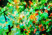 Calming abstract image,LIvely Sunny, an Abstract Photo by Manis recycle abstract (Thumbnail 2 of 3)
