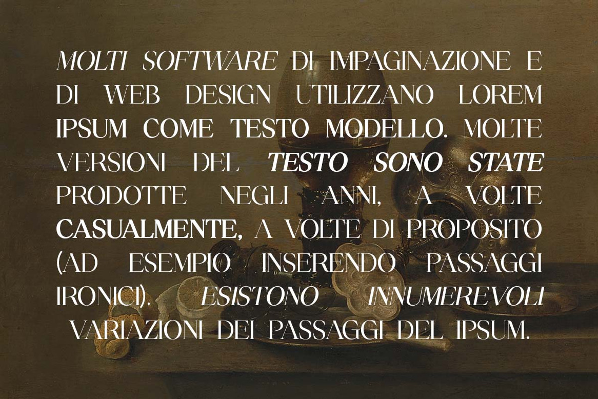 Quirk Modula Serif Typeface Font, a Serif Font by UICreative (Photo 12 of 13)