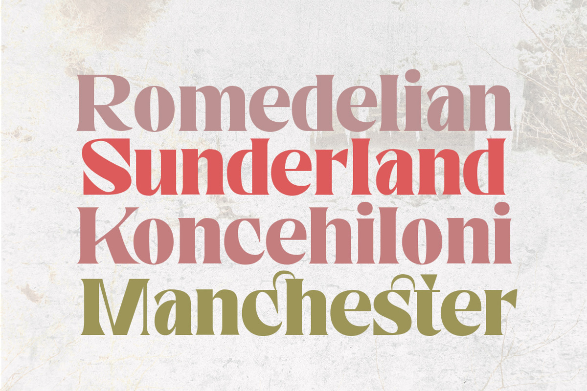 Nelona Serif, a Serif Font by Megatype (Photo 8 of 11)