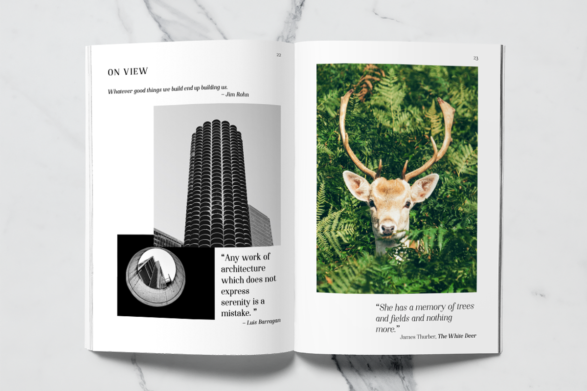 Night Still Comes Lite serif font preview 5