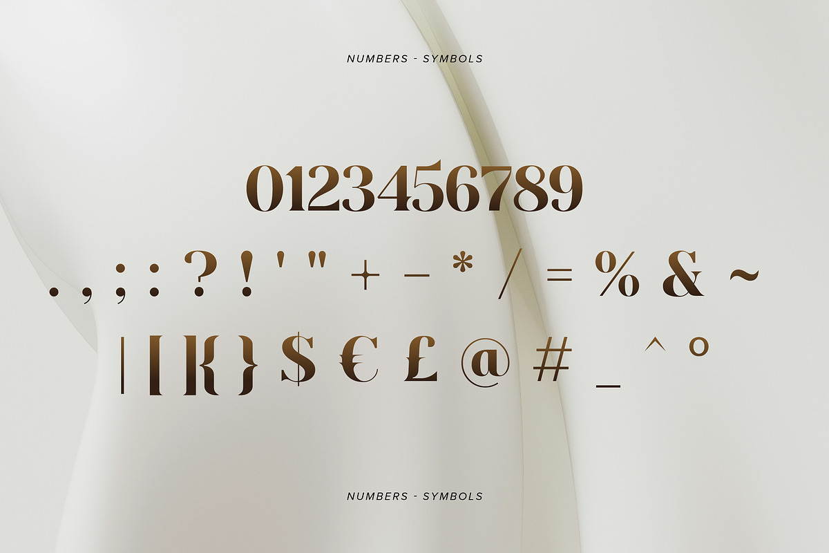Decatlon Luxury Serif Font, a Serif Font by Wencory (Photo 3 of 4)