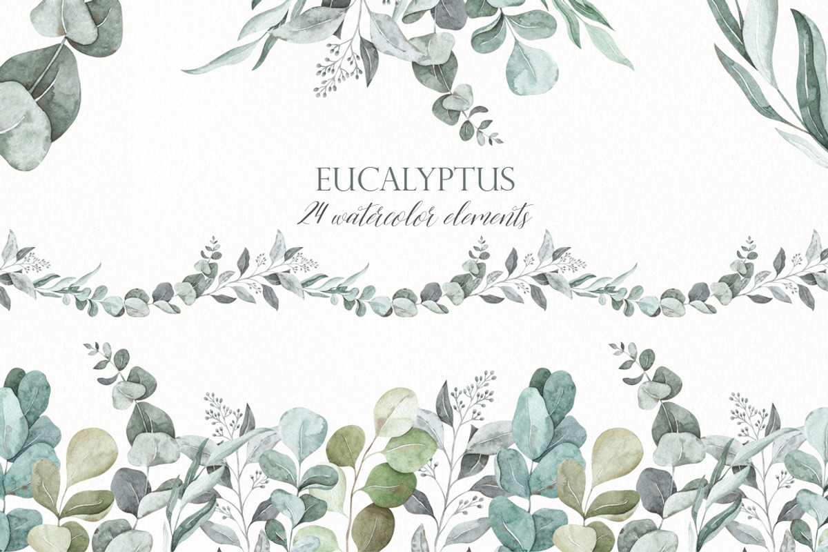 Watercolor eucalyptus clipart, an Illustration by OrangePeafowlArt (Photo 1 of 10)
