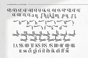Bridens - Modern Serif Display, a Serif Font by Qweera Studio (Thumbnail 9 of 10)