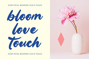 Smuthe Chilly Bold Calligraphy Font, a Script Font by stylishtype.co (Thumbnail 15 of 20)