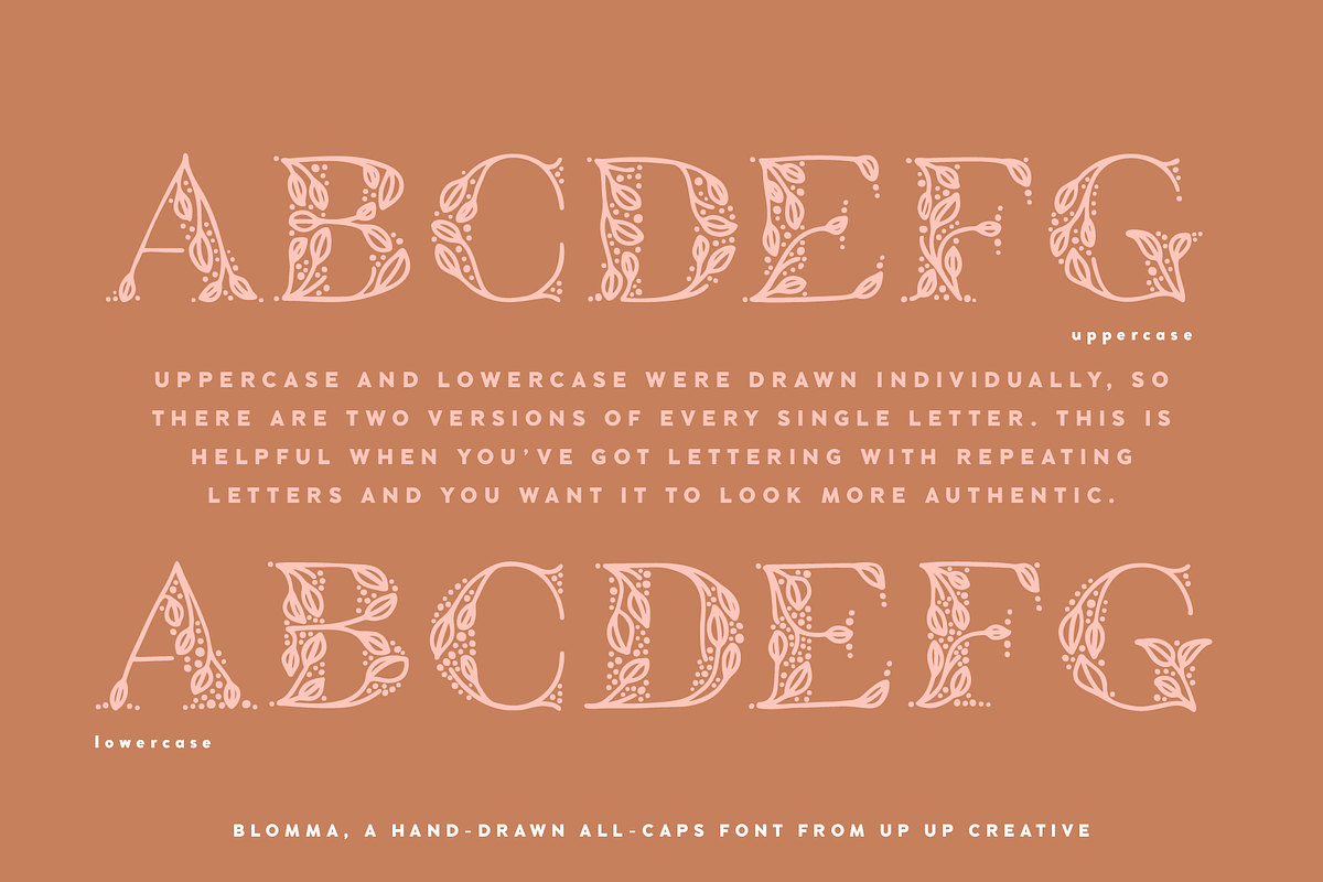 Blomma Hand-Drawn Display Font, a Serif Font by Up Up Creative (Photo 10 of 12)