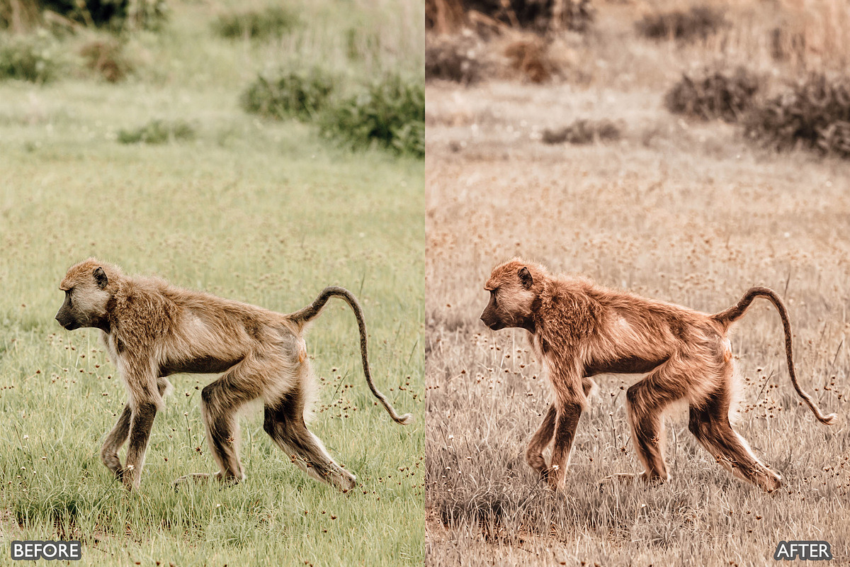 Moody Brown Lightroom Presets, a Preset Add-On by AAA Presets (Photo 6 of 22)