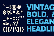 Megazine Poster Bold Vintage Display, a Sans Serif Font by Lettertype Studio (Thumbnail 12 of 12)