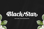 Ralsteda Font Family, a Script Font by Seniors (Thumbnail 8 of 18)