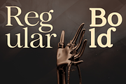 Quick Wish Luxury Serif Font, a Serif Font by Voleshads (Thumbnail 3 of 9)