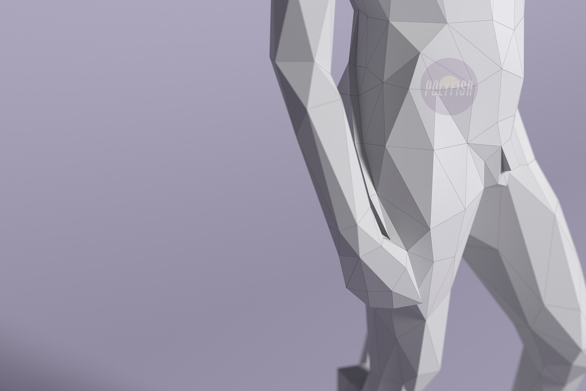 DIY David (Michelangelo) 3D template, a Templates & Theme by PolyFish (Photo 2 of 6)
