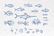 Sea Creatures Set, an Illustration by Checks & Dots (Thumbnail 2 of 4)