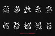10 Bundle Dark Art Aglonema Botani, an Illustration by Morspective (Thumbnail 6 of 7)