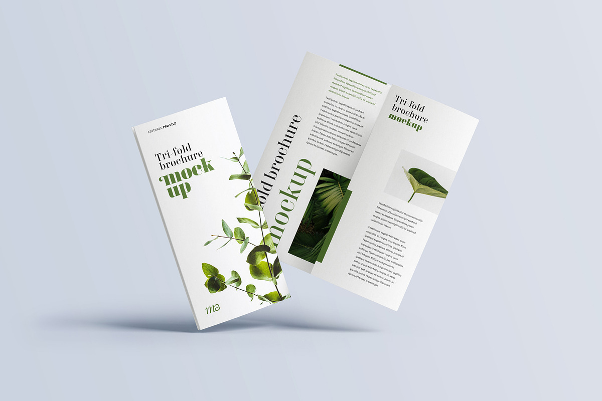 Trifold Brochure Mockup, a Print Template by mockupatelier (Photo 6 of 15)