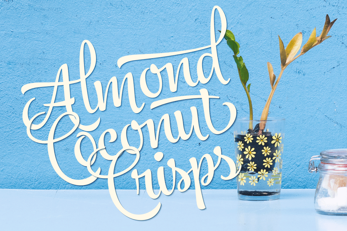 Jazz Script 12 fonts + extras -40%, a Script Font by Fenotype (Photo 16 of 19)