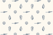 10 Hand Drawn Seashell + 5 Patterns, an Object Illustration by Storyteller Imagery (Thumbnail 5 of 7)