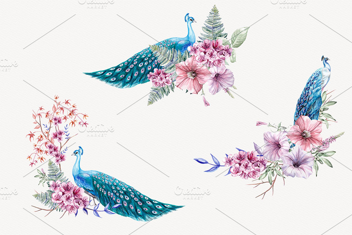 Watercolor Peacock & Floral Clipart, a Decorative Illustration by STASIstudio (Photo 3 of 3)