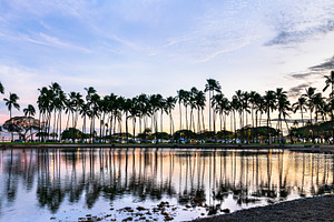Sunset over palm trees at Ala Moana Beach in Honolulu, Hawaii, a Nature Photo by Leonid Andronov
