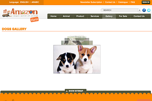 Amazon Pets Shop HTML Template