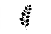 Eucalyptus Leaf Branch Collection, an Object Graphic by Designer_Momina (Thumbnail 2 of 3)