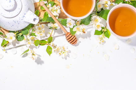 Jasmine green tea, a Food & Drink Photo by Rimma