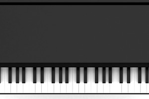 Piano containing picture, photo, and image