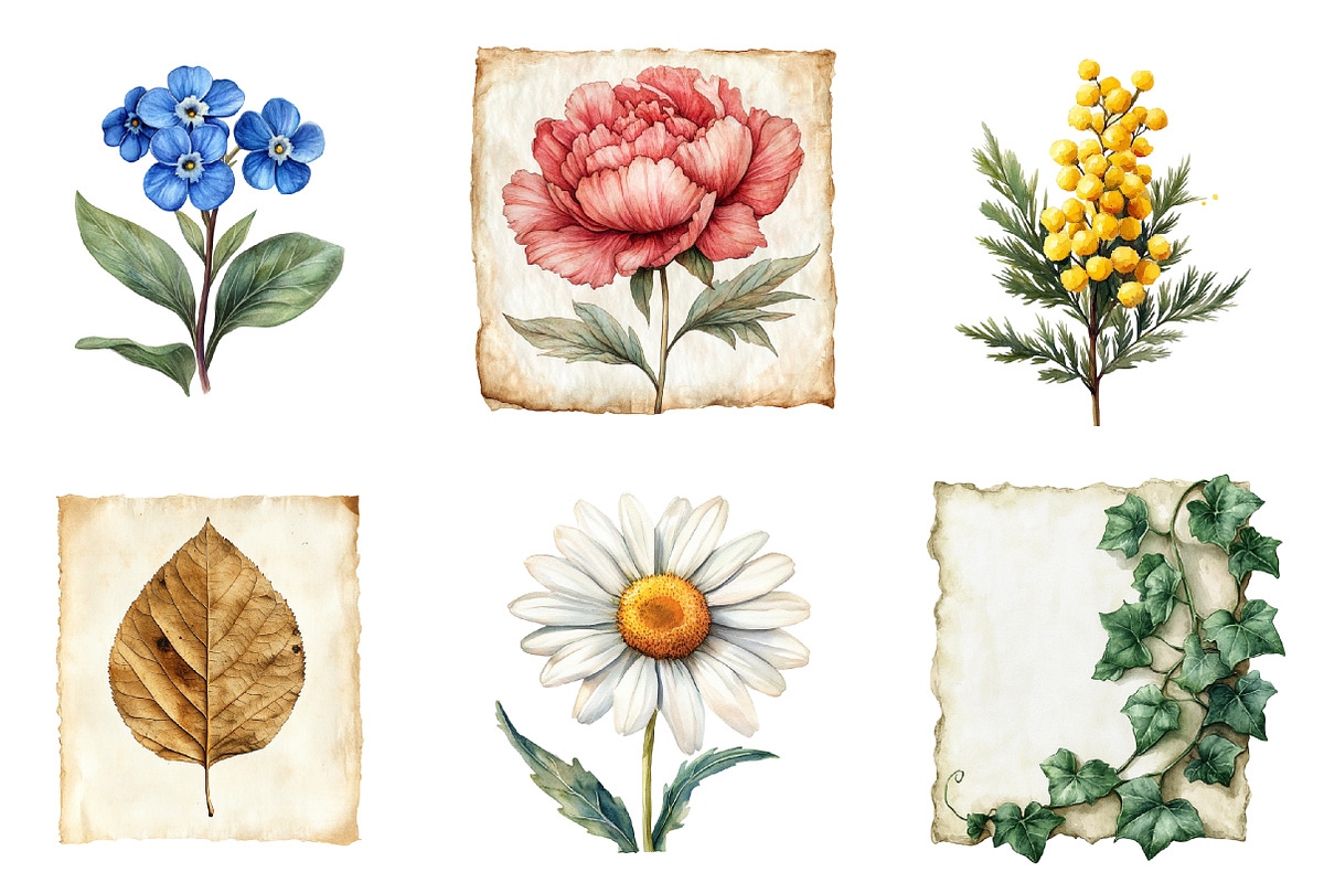 Vintage Botanical Paper Clipart PNG, an Illustration by SinaCreation (Photo 4 of 5)