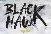 Brushield | Handwritten brush font, a Blackletter Font by D&K Project (Thumbnail 4 of 6)