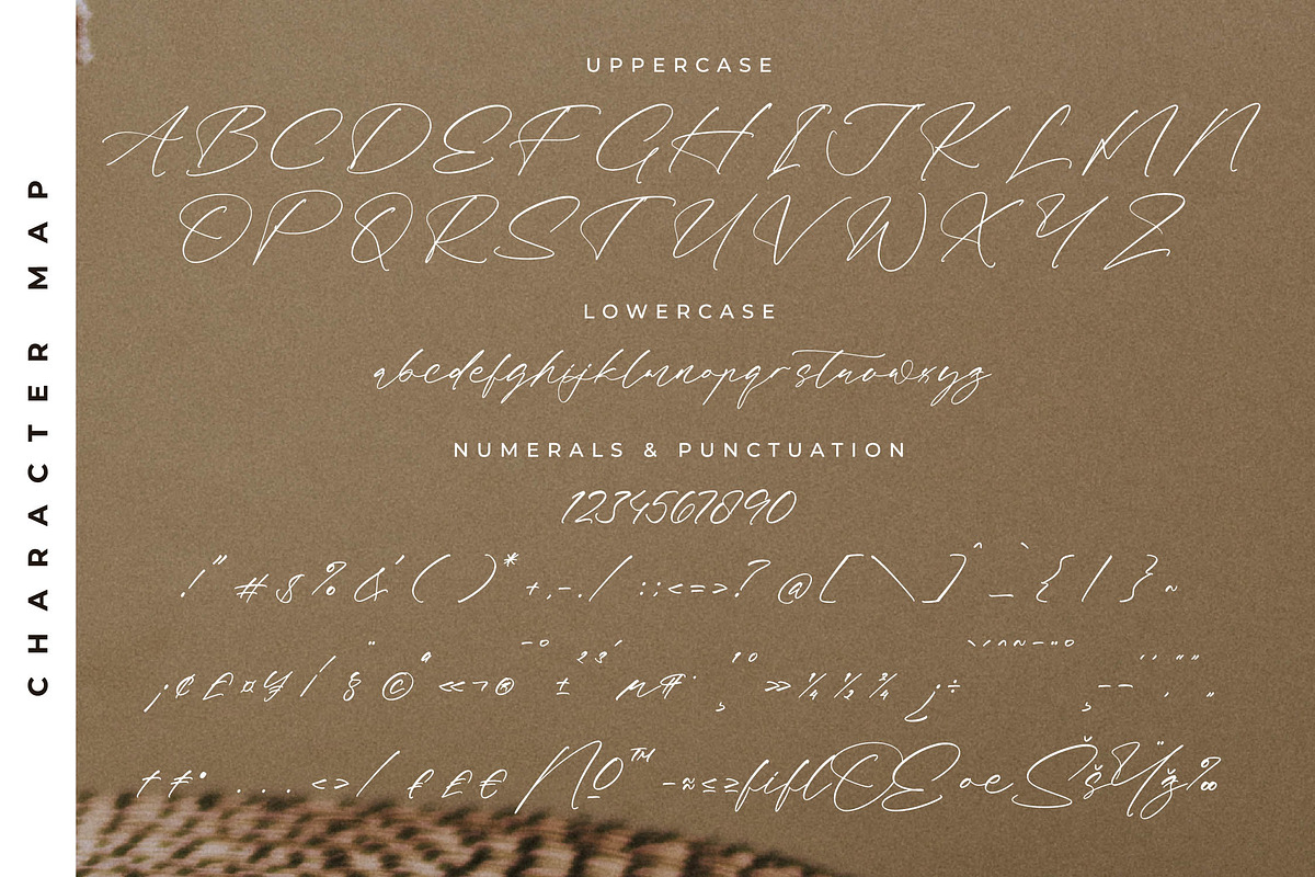 Fasttelo Engelliy Elegant Script, a Script Font by Letterena Studios Script (Photo 13 of 15)