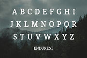 Endurest - Serif, a Serif Font by The Branded Quotes (Thumbnail 5 of 5)