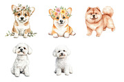 Fuluffy Dog Clipart, an Illustration by Design Market (Thumbnail 4 of 4)