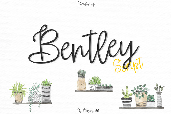 Bentley | Script preview 8