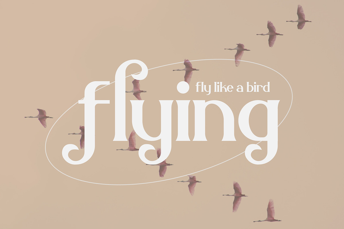 Belisha Modern Serif Font, a Serif Font by Storytype Studio (Photo 2 of 15)