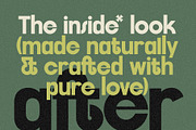 FlyBridge - Bold Ligature Rich Sans, a Sans Serif Font by SilverStag Type Foundry (Thumbnail 21 of 30)