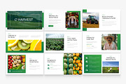 Green Nature Harvest Presentation, a Presentation Template by Eklip Studio (Thumbnail 2 of 5)