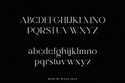 gesture - elegant serif, a Serif Font by Misha Sova (Thumbnail 8 of 9)