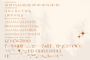 Arolse Belmonteria Font Duo, a Serif Font by Storytype Studio (Thumbnail 13 of 15)