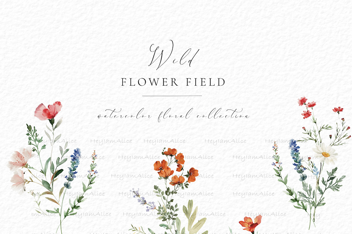 Wild Flower Field, a Decorative Illustration by heyiamalice (Photo 2 of 10)