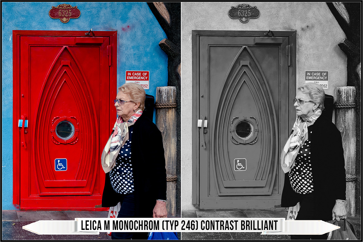 Leica Monochrom Profiles, a Plug-in Add-On by Raztrend (Photo 10 of 31)