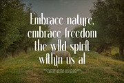 Dalkine Modern Serif Font, a Serif Font by Perfectype (Thumbnail 5 of 6)