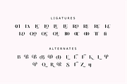 Deroma Slab, a Serif Font by Yahya Type (Thumbnail 13 of 14)