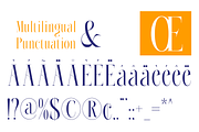 Roelvo - Clean Elegant Display Serif, a Serif Font by Qweera Studio (Thumbnail 10 of 12)